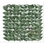 ARELLE SIEPE SEMPREVERDE LAURO BOTTON MT.1X3