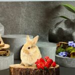 TAPPETO ANTISCIVOLO CONIGLIETTI3D 52X350