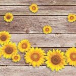 TAPPETO ANTISCIVOLO GIRASOLI IN LEGNO 52X250