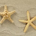 TAPPETO ANTISCIVOLO STELLA MARINA 52X100